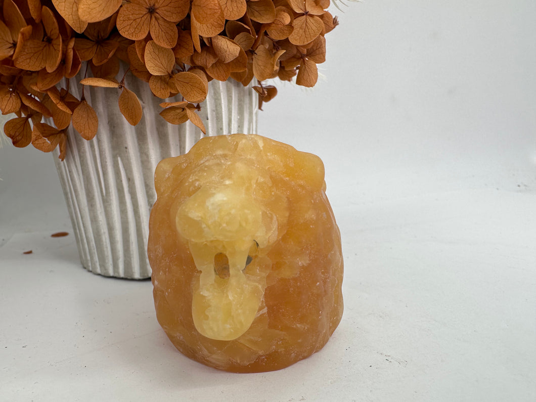 Orange Calcite Lion Head