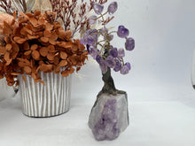 Load image into Gallery viewer, (1)Amethyst Tree on Amethyst cluster from Brazil
