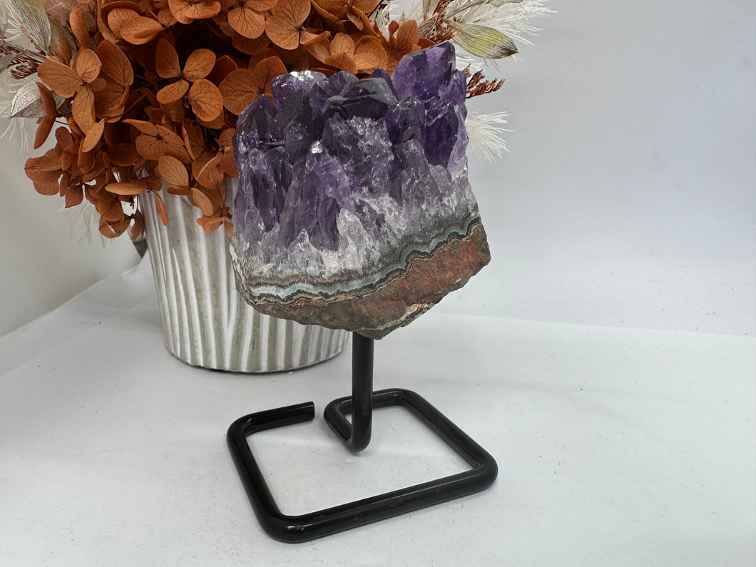 Brazilian Amethyst Cluster on Stand