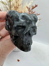Load image into Gallery viewer, Skull with Horns
