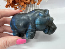 Load image into Gallery viewer, Labradorite High Quality Hippo
