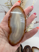 Load image into Gallery viewer, Brazilian Agate Slices
