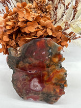 Load image into Gallery viewer, Carnelian/Moss Agate Slab
