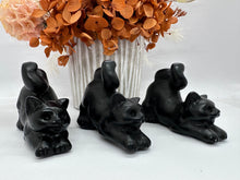 Load image into Gallery viewer, Blk Obsidian Playful Cat
