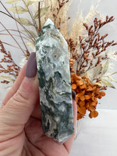 Load image into Gallery viewer, (2)Moss Agate DT
