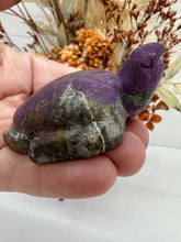 Load image into Gallery viewer, (2)m Purpurite Turtle
