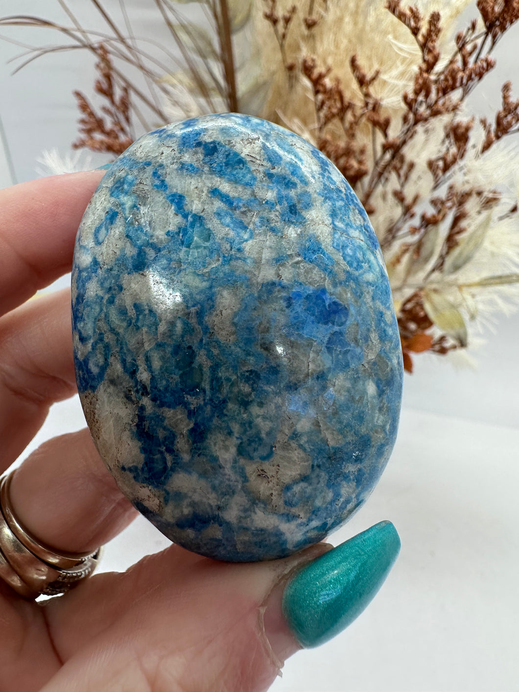(2) Blue Sodolite with Hackmanite Palm
