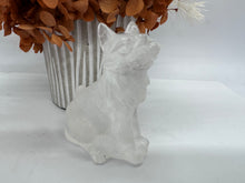 Load image into Gallery viewer, Clear Quartz Handcarved Fox
