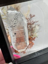 Load image into Gallery viewer, (1)Lemurian Quartz with Stibnite in case
