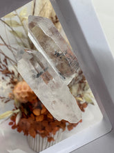 Load image into Gallery viewer, (7) Lemurian Quartz with Stibnite in case
