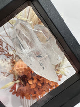 Load image into Gallery viewer, (8) Lemurian Quartz with Stibnite in case
