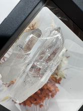 Load image into Gallery viewer, (8) Lemurian Quartz with Stibnite in case
