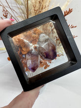 Load image into Gallery viewer, (1) Super 7 in Display Case
