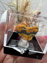 Load image into Gallery viewer, (2) Bumble Bee Jasper in Display Case
