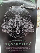 Load image into Gallery viewer, Prosperity Incense Cones with Holder
