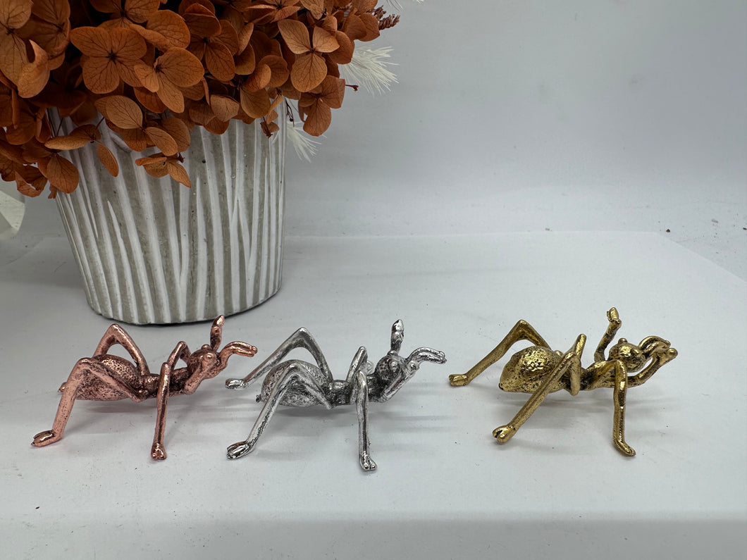 Gold Ant Holders