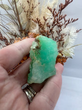 Load image into Gallery viewer, Chrysoprase (QLD)(61)
