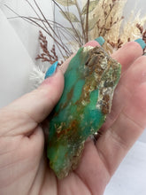 Load image into Gallery viewer, Chrysoprase (QLD)(62)
